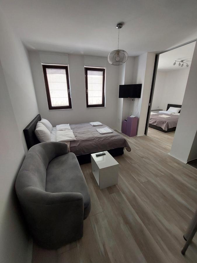 Apartment Petreski 1 *