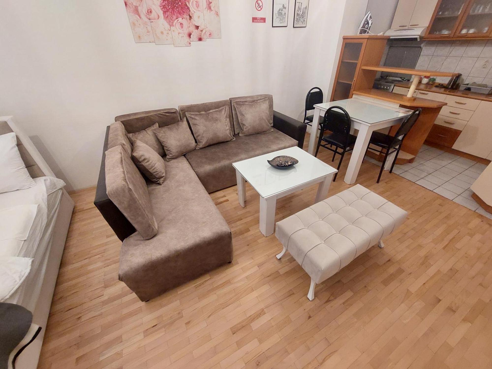 Apartment Petreski 1 *