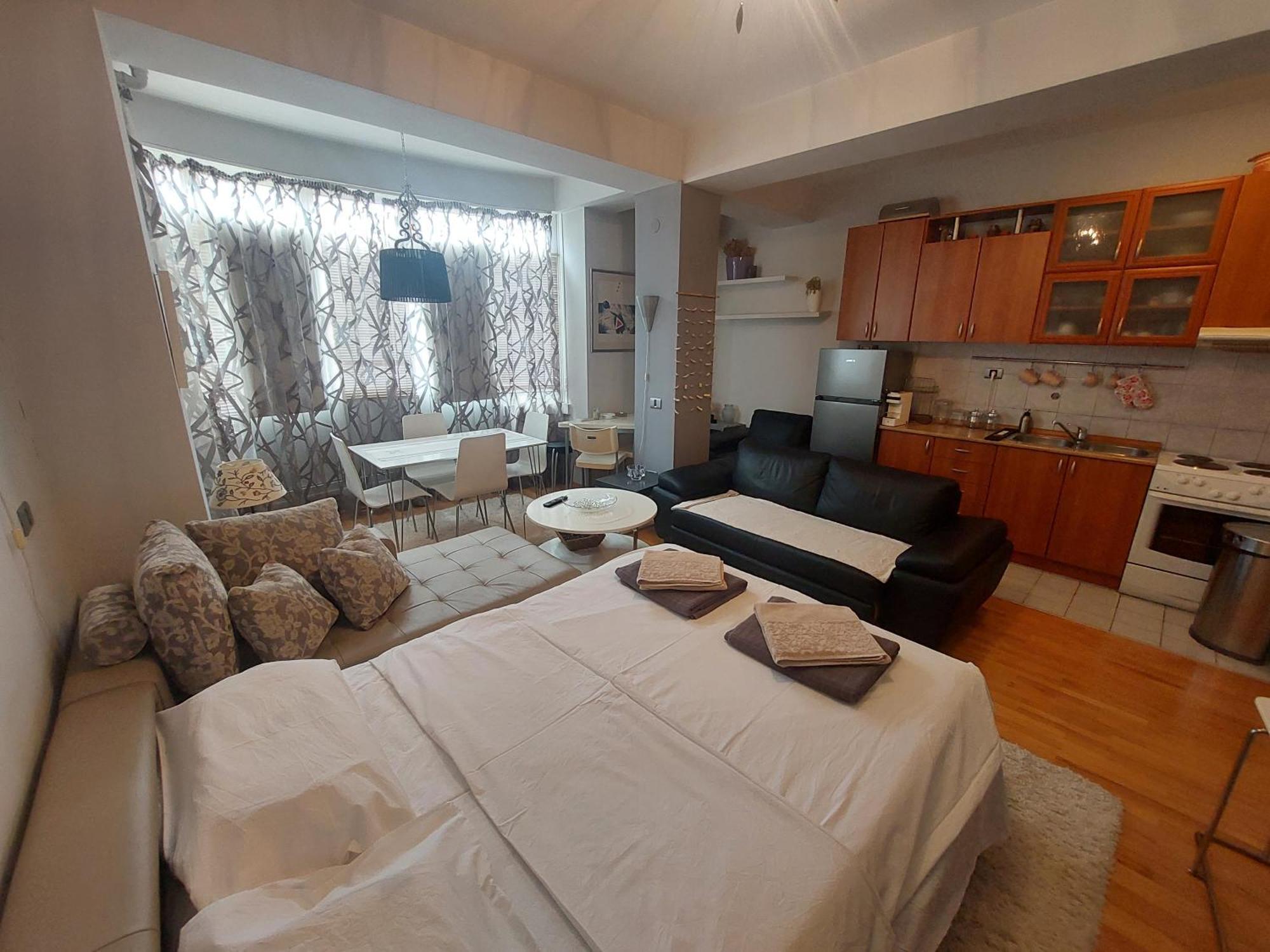 Apartment Petreski 1 *